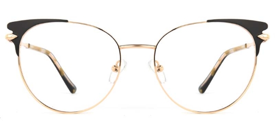 Echo​ Glasses Black