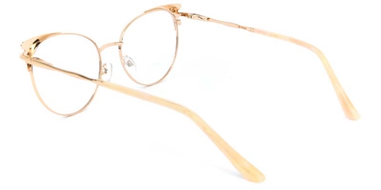 Echo​ Glasses Orange