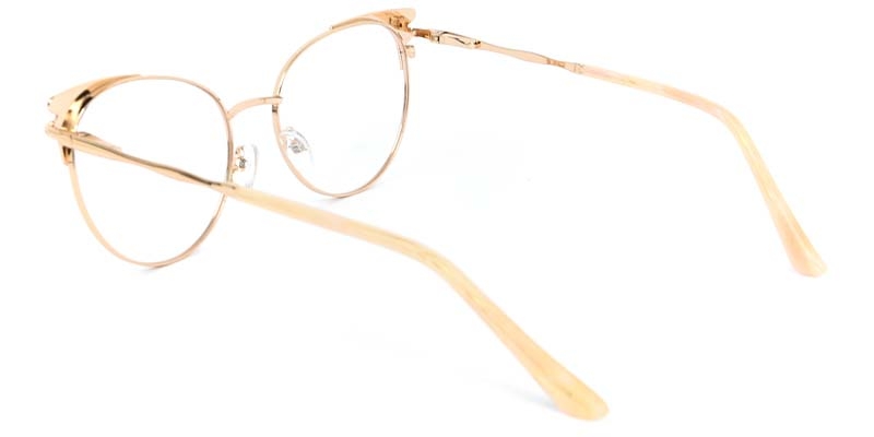 Picture of Echo​ Glasses