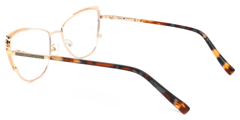 Picture of Flux​ Glasses