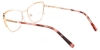Picture of Flux​ Glasses