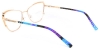 Picture of Flux​ Glasses