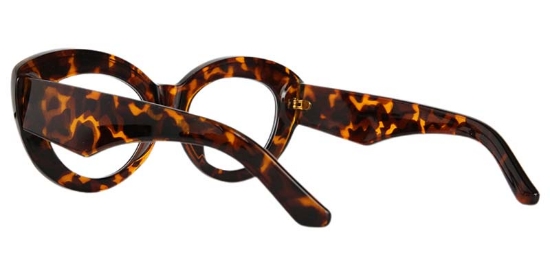Paragon Glasses Tortoise