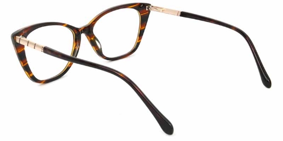 Warmth​ Glasses Tortoise