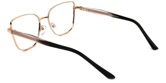 Kinetic​ Glasses Gold_Black