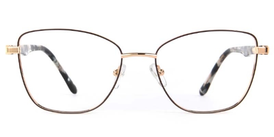 Lumin​ Glasses Gold_Black_Tortoise