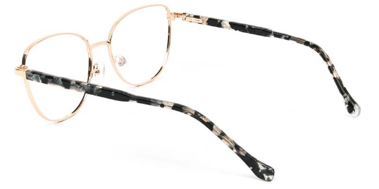 Moment​ Glasses Gold_Black_Tortoise