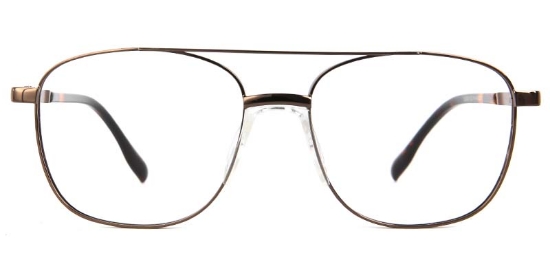 Reed​ Glasses Brown_Tortoise