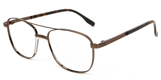 Reed​ Glasses Brown_Tortoise