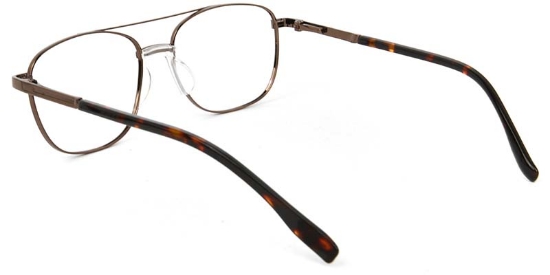 Reed​ Glasses Brown_Tortoise