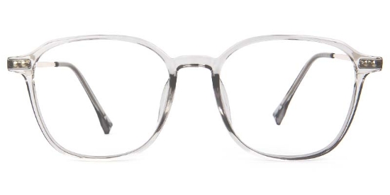 Wing​ Glasses Transparent_Gray