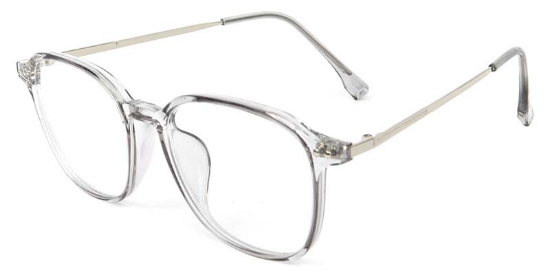 Wing​ Glasses Transparent_Gray