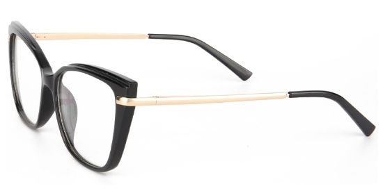 Brook Glasses Black