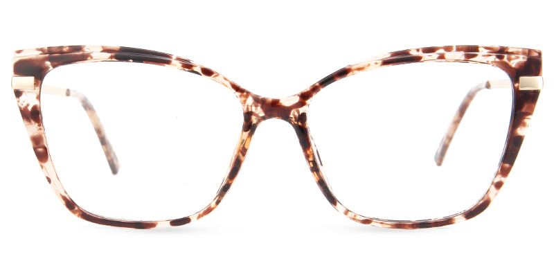 Brook Glasses Tortoise