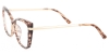 Picture of Brook Glasses