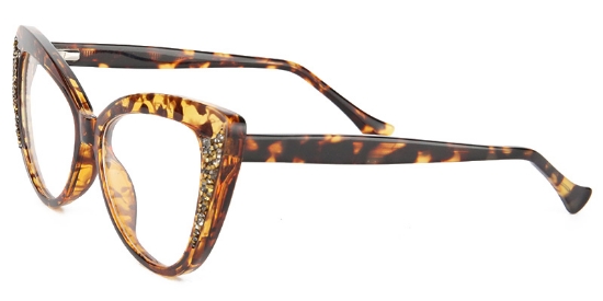 Euphony Glasses Tortoise