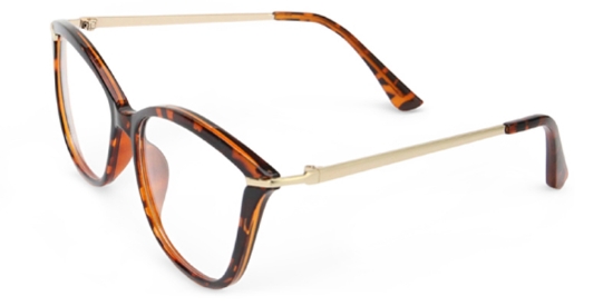 Ada Glasses Tortoise