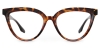 Picture of Yucca Glasses