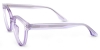 Picture of Yucca Glasses