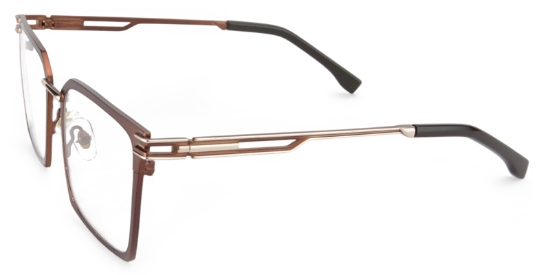 Liora Glasses Brown