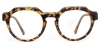 Picture of Nash Glasses