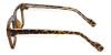 Picture of Optimism Glasses
