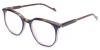 Picture of Spruce Glasses