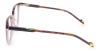 Picture of Spruce Glasses