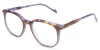 Picture of Spruce Glasses
