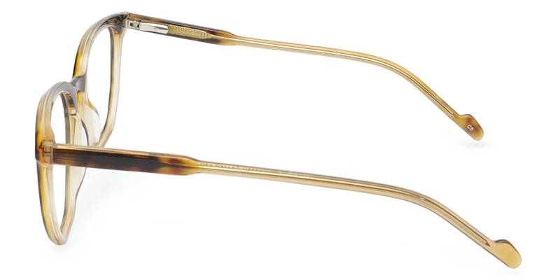 Picture of Spruce Glasses