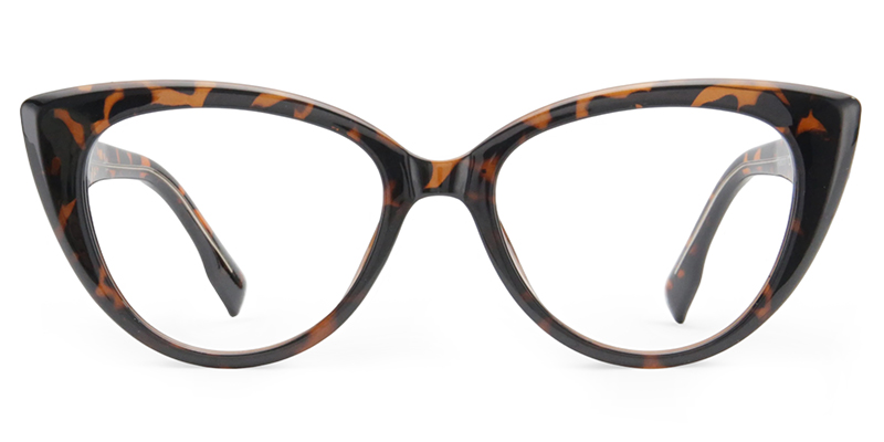 Page Glasses Tortoise