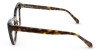 Picture of Valley Glasses