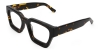 Picture of Zestful Glasses