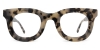 Picture of Beam Glasses