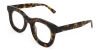Picture of Beam Glasses