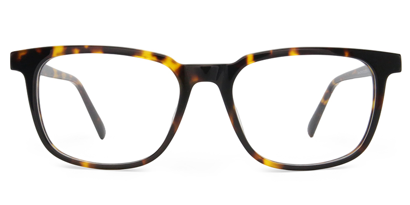 Luna Glasses Tortoise