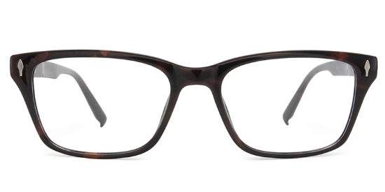 Gentle Glasses Tortoise