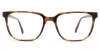 Picture of Thin Glasses