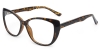Picture of Nova Glasses