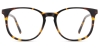 Picture of Book Glasses