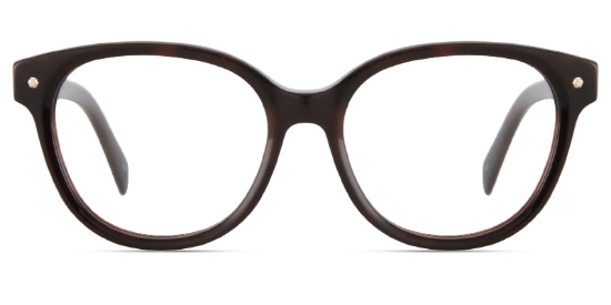 Apex Glasses Tortoise