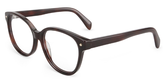 Apex Glasses Tortoise