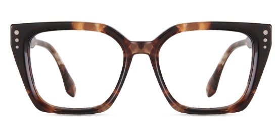 Zone Glasses Tortoise