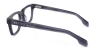 Picture of Fun Glasses