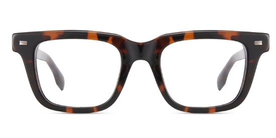 Fun Glasses Tortoise