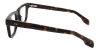Picture of Fun Glasses