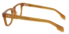 Picture of Fun Glasses