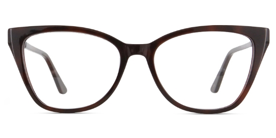 Focus Glasses Tortoise