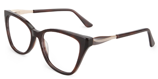 Focus Glasses Tortoise