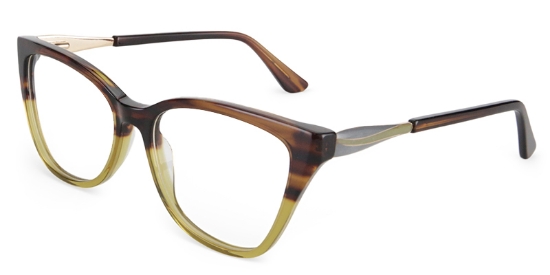Focus Glasses Tortoise_Green